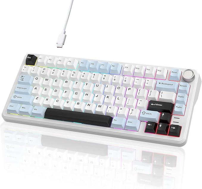 75% Wired Hot Swappable Mechanical Keyboard with Metal Knob | Mount Gasket | Programmable RGB Backlit & Adjustable Side Lighting (Peach Linear Switch)