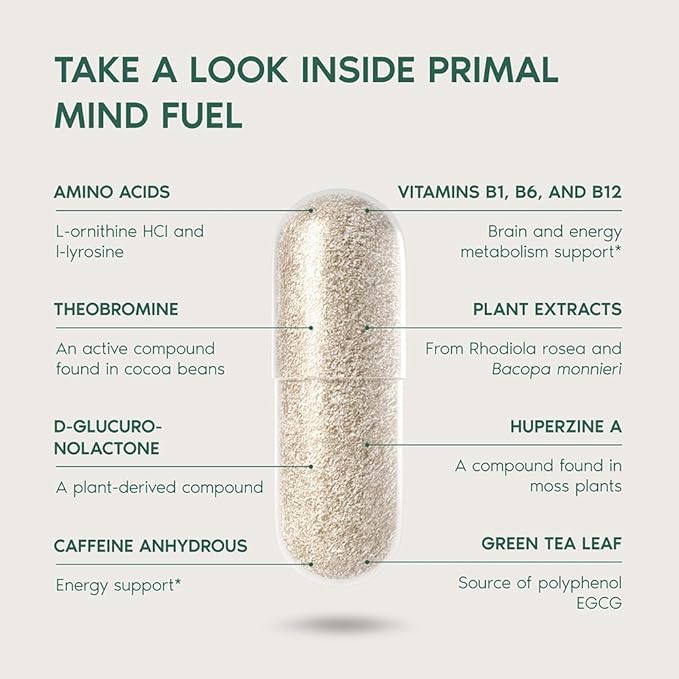 Brain Supplement by Primal Harvest, Primal Mind Fuel Brain Booster for Focus, Energy, Clarity, and Brain Health 30 Capsules Nootropics Brain Support Supplement for Men and Women