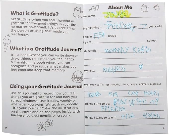 S&S Worldwide Kid's Gratitude Journal Class Pack. Undated, 100-pgs, Daily Prompts, Cover to Color, Inspiring Quotes, For Self-Esteem, Positive Thinking, Mindfulness, Resilience, Ages 5-11, 6"x9", Pk 12