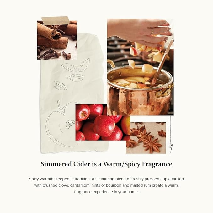 Thymes Simmered Cider Reed Diffuser Oil Refill – Home Fragrance Oil for Diffuser – Holiday Reed Diffuser Refill - Simmered Cider – Aromatherapy Diffuser Oils Scents (7.75 fl oz)