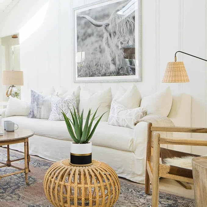 Briful Succulents Artificial Plants Fake Aloe Vera Plants in Gold and Black Pot Farmhouse Faux Agave Plant for Home Office Desk Bathroom Shelf Decorations