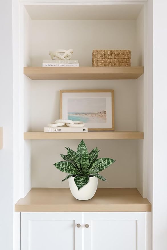 Hollyone Artificial Snake Plants 9" Faux Agave Succulent Plant Potted in White Pot Fake Sansevieria Aloe Tropical Plant for Desk Modern Office Home Bathroom Indoor Outdoor Decor