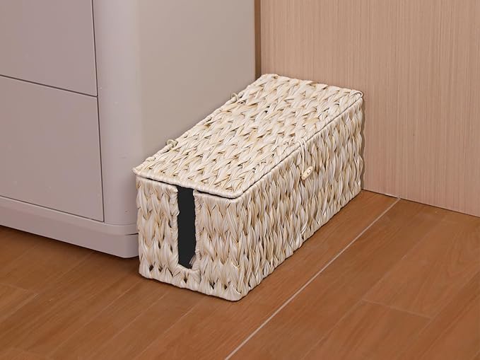 Cable Management Box,Boho Decorative Handwoven 2 Open Slots Cord Organizer Hider Box with Lid for TV Wires, Computer, Router, USB Hub and Under Desk Power Strip