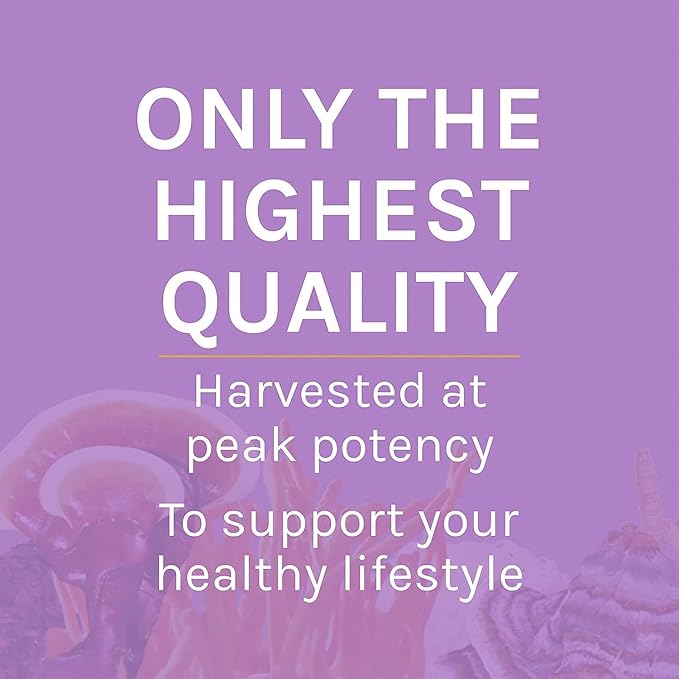 Host Defense Lion's Mane Powder - Brain Health Support Supplement - Mushroom Supplement to Support Focus & Memory Function - Immune & Nervous System Support Supplement - 3.5 oz (66 Servings)*