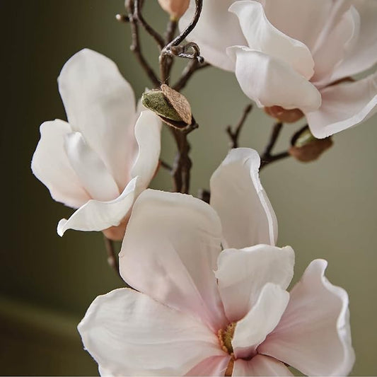 Thymes Reed Diffuser Oil - Magnolia Willow - 7.75 Fl Oz