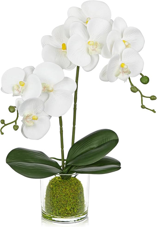 White Orchids Artificial Flowers 16.1" Faux Orchids Plant in Pot Fake Flower Arrangements with Glass Vases Small White Centerpieces for Kitchen Dining Room Tables Bathroom Nightstand Shelf Desk Decor