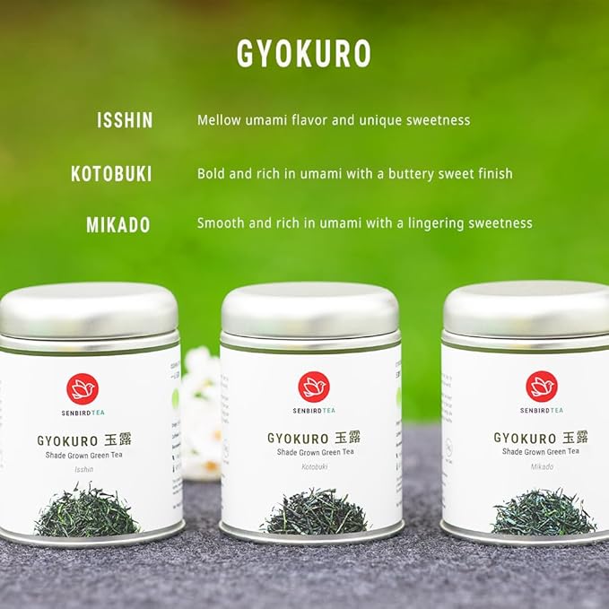 Senbird Premium Gyokuro, Japanese Shade Grown Green Tea - From Kyoto Japan - Imperial Loose Leaf Green Tea In Airtight Tea Tin (1.76oz/50g) (Mikado)