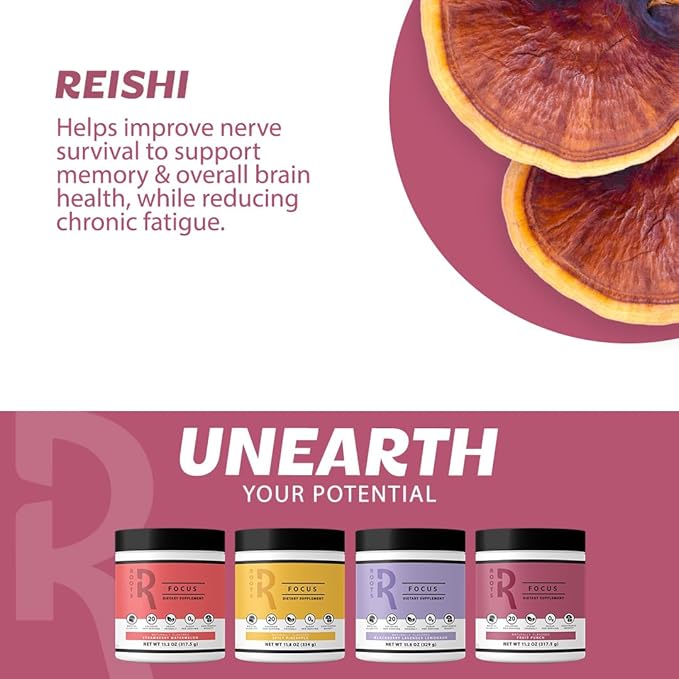 Roots Focus Nootropic Brain Supplement - Fruit Punch, Blend of Lion's Mane, Cordyceps, & Reishi Functional Mushrooms + Extended-Release Caffeine, 50 Servings