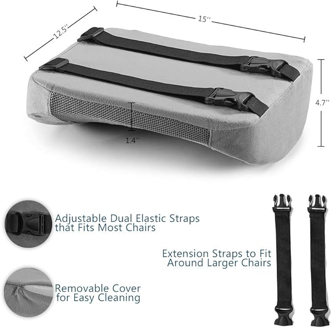 ComfiLife Lumbar Support Back Pillow Office Chair and Car Seat Cushion - Memory Foam with Adjustable Strap and Breathable 3D Mesh (Gray)