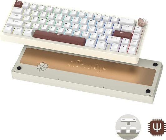 Womier SK65 Wireless Mechanical Gaming Keyboard with Knob, 60 Percent Aluminium Keyboard for PC, Bluetooth 5.0/2.4GHz/USB-C Wired, Hot Swappable Custom Lineaner Switch, RGB Backlit (Creamy White V2)