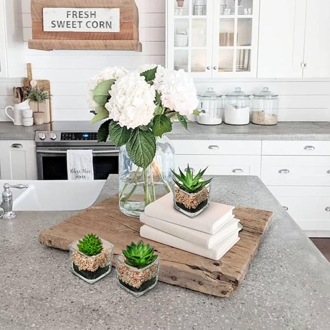 Briful Set of 3 Succulents Plants Artificial in Glass Pots Small Fake Succulents Plants Faux Plants Indoor for Home Office Table Desk Shelf Room Decor