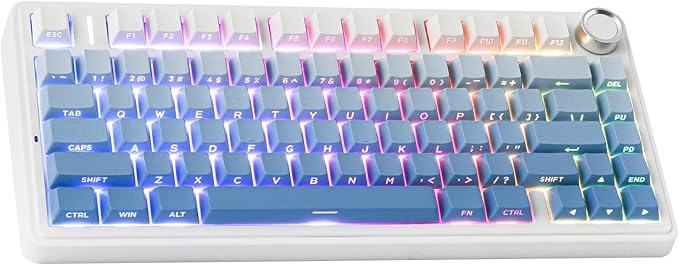 EPOMAKER x Aula F75 Gasket Mechanical Keyboard, 75% Wireless Hot Swappable Gaming Keyboard with Five-Layer Padding&Knob, Bluetooth/2.4GHz/USB-C, RGB (Blue Gradient, LEOBOG Reaper Switch)