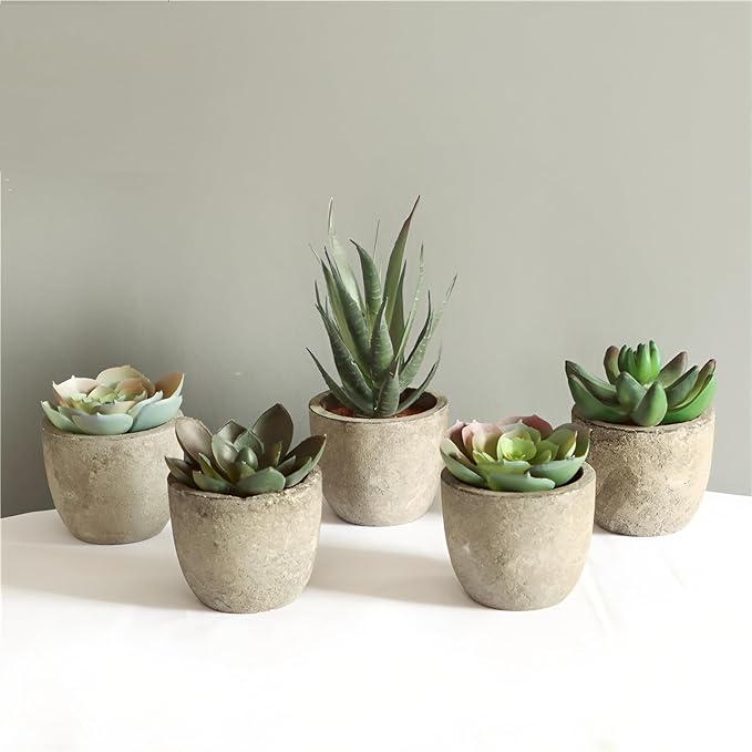 Artificial Succulent Plants Potted Set of 5,Faux Succulent Plants Potted Realistic Fake Succulents in Eco-Friendly Pots for Home Decor, Lifelike Low-Maintenance Desk Decor Gift