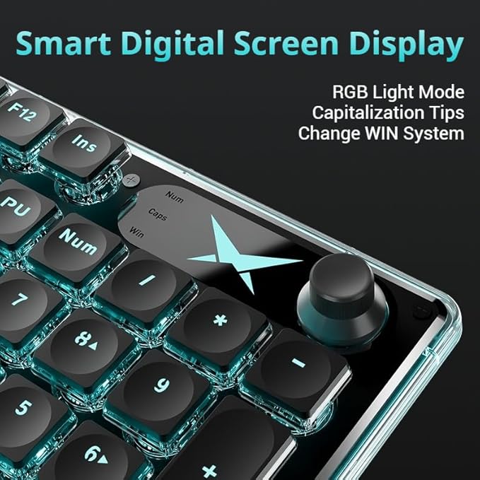 EWEADN F98 Wired Backlit Keyboard, USB Computer Keyboards with Smart Display & Knob, 96% Layout Silent Ergonomic Keyboard with 7-Color, Compatible with Mac, Windows (Black)