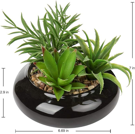 Hollyone Large Artificial Succulents Plants Faux Succulents in Pots Fake Succulent Potted Plants with Black Ceramic Pot for Home Decor Office Desk Bathroom Living Room Indoor & Outdoor Decorations