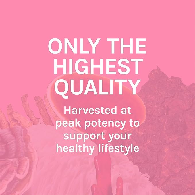 Host Defense Turkey Tail Extract - Digestive Health & Immune Response Support Supplement - Mushroom Supplement for Gastrointestinal & Gut Microbiome Support - 1 fl oz (30 Servings)*