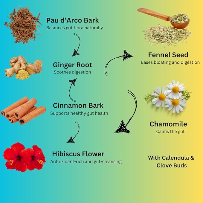 Gut Balance Herbal Tea – Gut Wellness Herbal Blend | Caffeine-Free Tea to Support Digestive Comfort, Gut Health & Daily Wellness