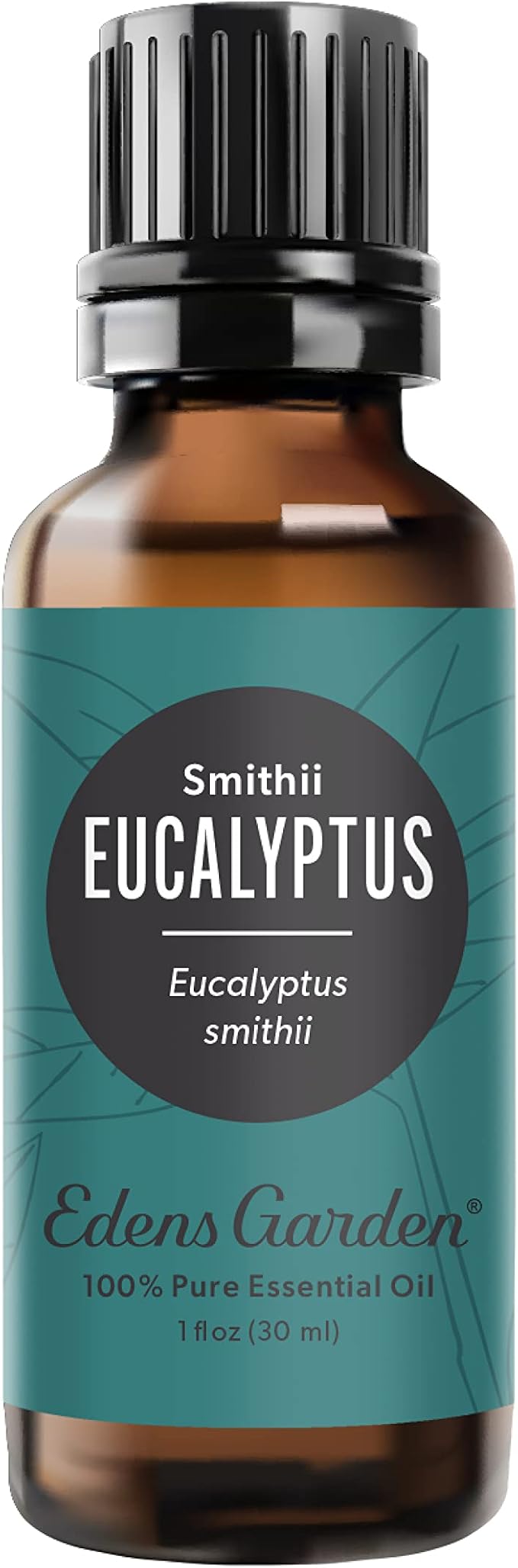 Edens Garden Eucalyptus- Smithii Essential Oil, 100% Pure Therapeutic Grade (Undiluted Natural/Homeopathic Aromatherapy Scented Essential Oil Singles) 30 ml