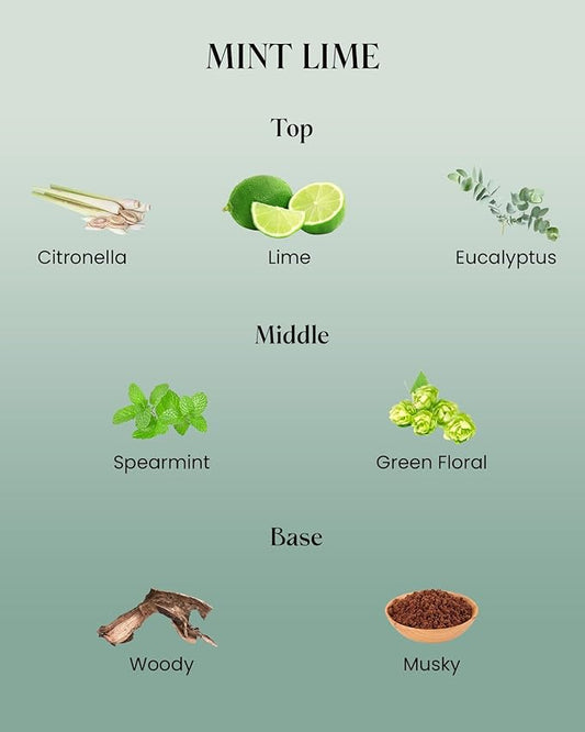 M&SENSE Mint Scented Candle - 10.6oz Natural Soy Wax 60-Hour Long Lasting Burn Time Non Toxic Relaxing Candle for Summer, Yoga, Spa & Stress Relief for Family Friends