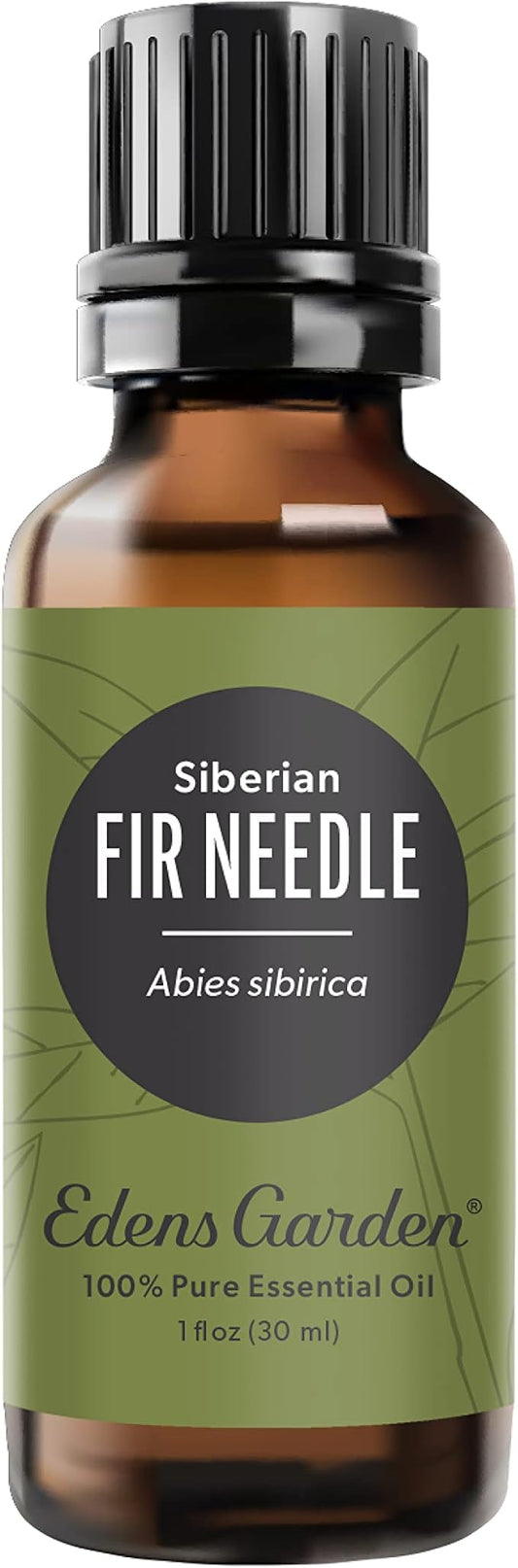 Edens Garden Fir Needle- Siberian Essential Oil, 100% Pure Therapeutic Grade (Undiluted Natural/Homeopathic Aromatherapy Scented Essential Oil Singles) 30 ml
