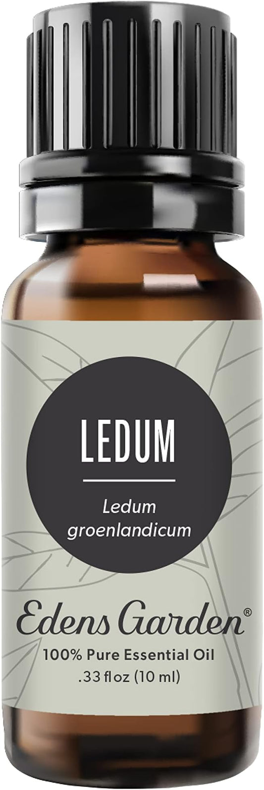 Edens Garden Ledum Essential Oil- 100% Pure Premium Grade, Undiluted, Natural, Therapeutic, Aromatherapy, The Best for Diffuser, Skin, Hair, Humidifiers 10 ml (.33 fl oz)