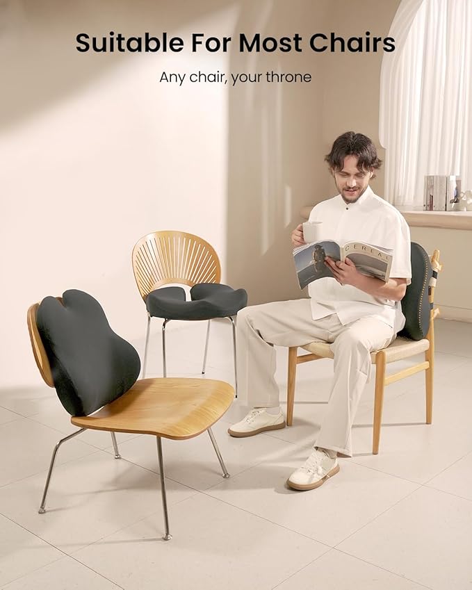 ProtoArc Lumbar Support Pillow for Office Chair, Memory Foam Back Support Pillow for Lower Back Fatigue Relief, Lumbar Pillow Desk Chair Back Cushion, Ergonomic Back Rest for Chair, Car - Dark Gray