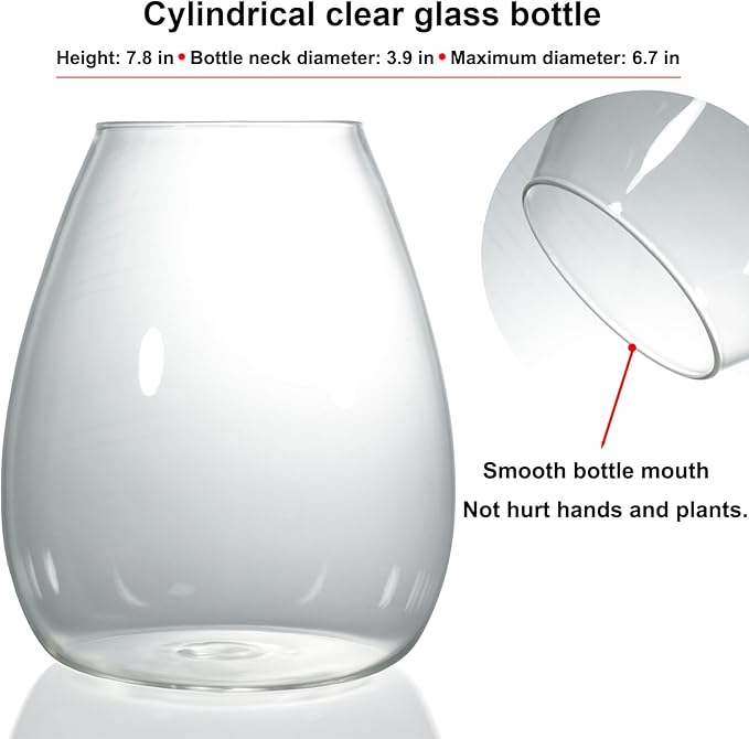 Desktop Glass Terrarium with Grow Light (H:7.8" D:6.7"), for Succulent, Moss, Miniature Gardening Landscape, Betta Fish Tank, Indoor Plant Growth, Office Home Decoration, Plant Lovers Gifts