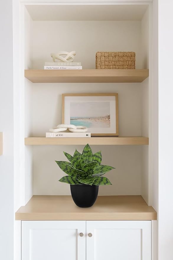 Hollyone Artificial Snake Plants 9" Faux Agave Succulent Plant Potted in Black Pot Fake Sansevieria Aloe Tropical Plant for Desk Modern Office Home Bathroom Indoor Outdoor Decor