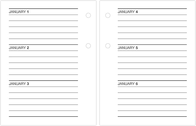 AT-A-GLANCE 2026 Desk Calendar Refill, Daily, 3" x 3-3/4", Mini, Loose-Leaf (E9195026)