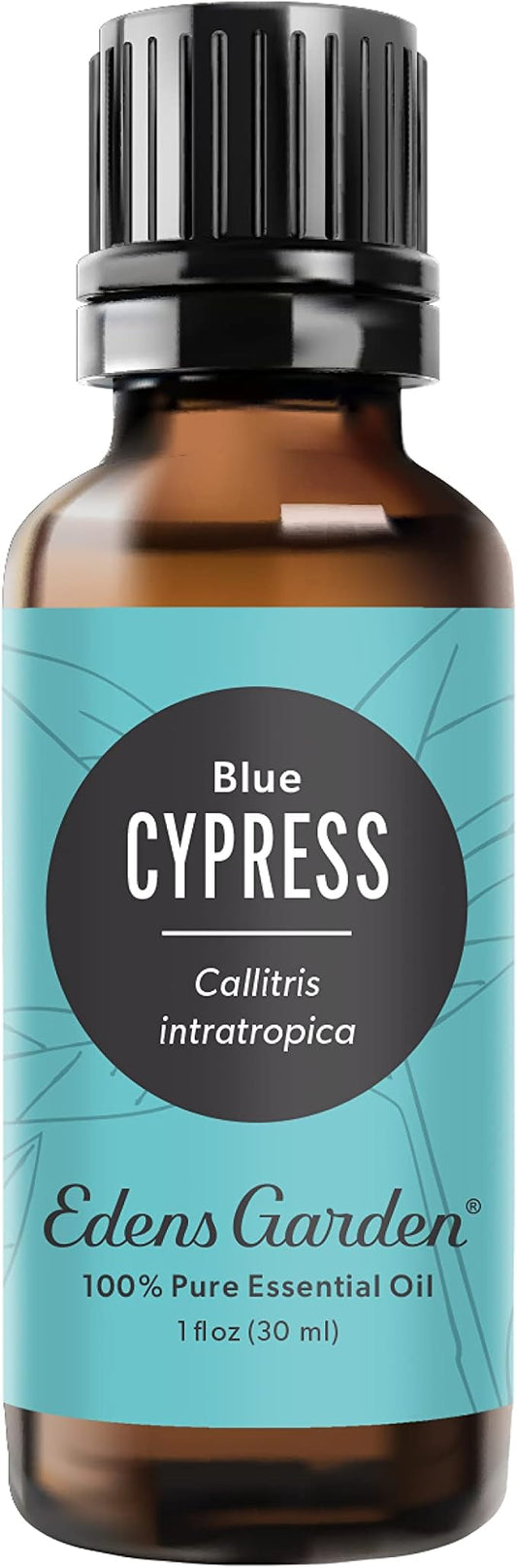 Edens Garden Cypress- Blue Essential Oil- 100% Pure Premium Grade, Undiluted, Natural, Therapeutic, Aromatherapy, The Best for Diffuser, Skin, Candle, Kid Safe 30 ml (1 fl oz)