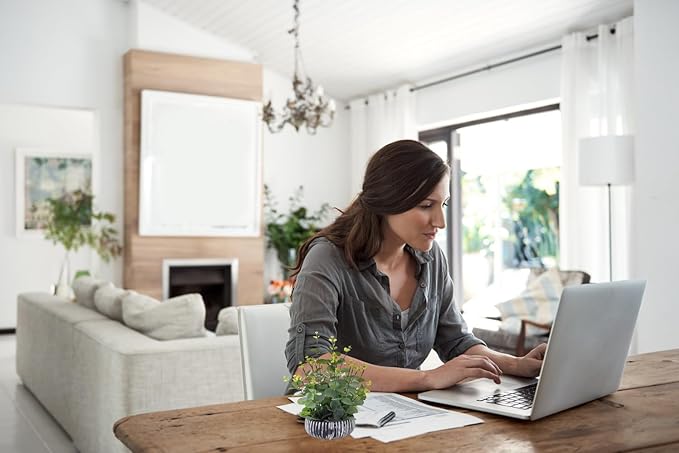 Artificial Plants Potted Real Looking Small Faux Plant with Rustic Black Cement Planter for Kitchen Office Desk Bookshelf Decor (Eucalyptus Plant)