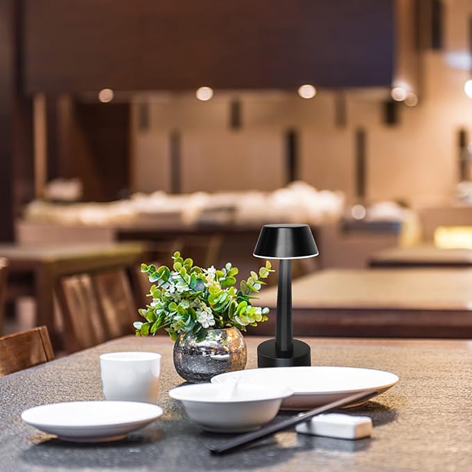 Egobasic Rechargeable Cordless Small Table Lamp Portable Battery Operated Touch 3 Way Dimmable Metal Bedside Night Light Lamps for Bedroom, Dining Room Patio Restaurant Bar Hotel (Black)