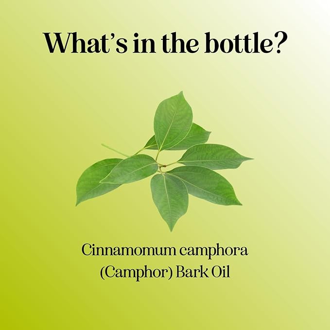 Pure Undiluted Camphor Essential Oil - 100% Pure Camphor Oil for Aromatherapy and Beauty DIYs Great for Soothing Skin and Clearing Chest - Outdoor Diffuser Oil for Patios and Porches (4 Fl Oz)