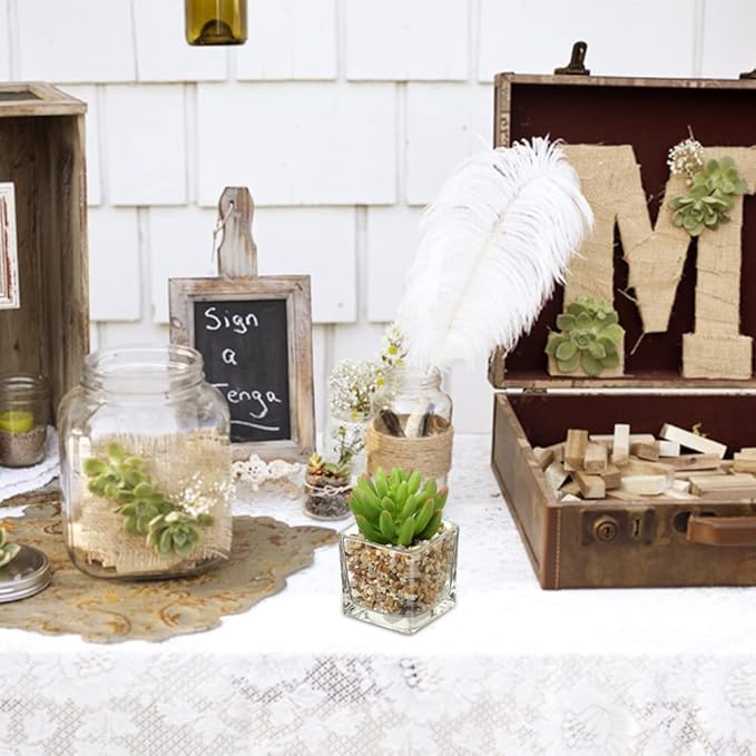 Briful Set of 4 Succulents Plants Artificial in Clear Glass Pots Small Fake Succulents Plants Mini Faux Plants Indoor for Window Sill Office Table Desk Shelf Bathroom Decor