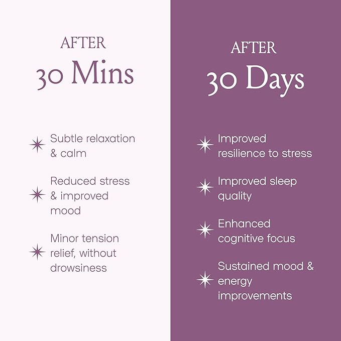 SPACE AND TIME Relax - Mushroom Chai Tea - 20 Cups of Calm & Relaxation - Mushroom Tea with Reishi, Magnesium & L-Theanine