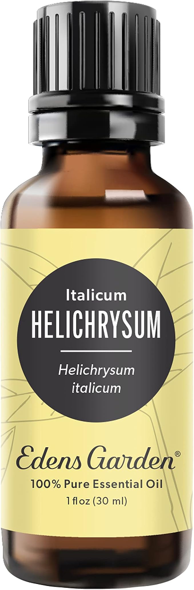 Edens Garden Helichrysum- Italicum Essential Oil- 100% Pure Premium Grade, Undiluted, Natural, Therapeutic, Aromatherapy, The Best for Diffuser, Skin, Face, Hair 30 ml (1 fl oz)