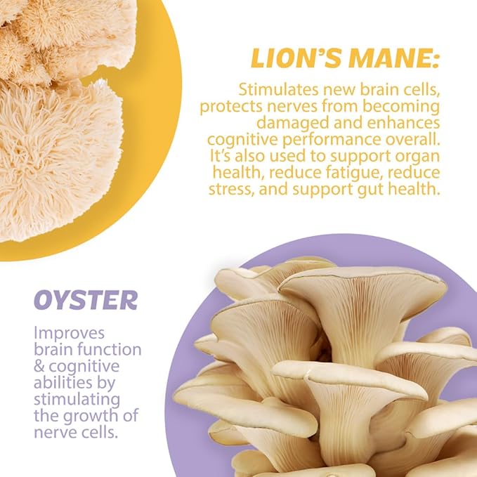 Roots Focus Nootropic Brain Supplement - Fruit Punch, Blend of Lion's Mane, Cordyceps, & Reishi Functional Mushrooms + Extended-Release Caffeine, 50 Servings