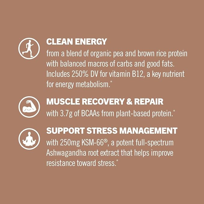 OM MUSHROOM SUPERFOOD Master Blend Mushrooms & Adaptogens, Creamy Chocolate Plant Protein, Single Serve, 10 Count, 10 Mushroom Complex, Lion's Mane, Ashwagandha, Stress Relief, GLP-1 Support