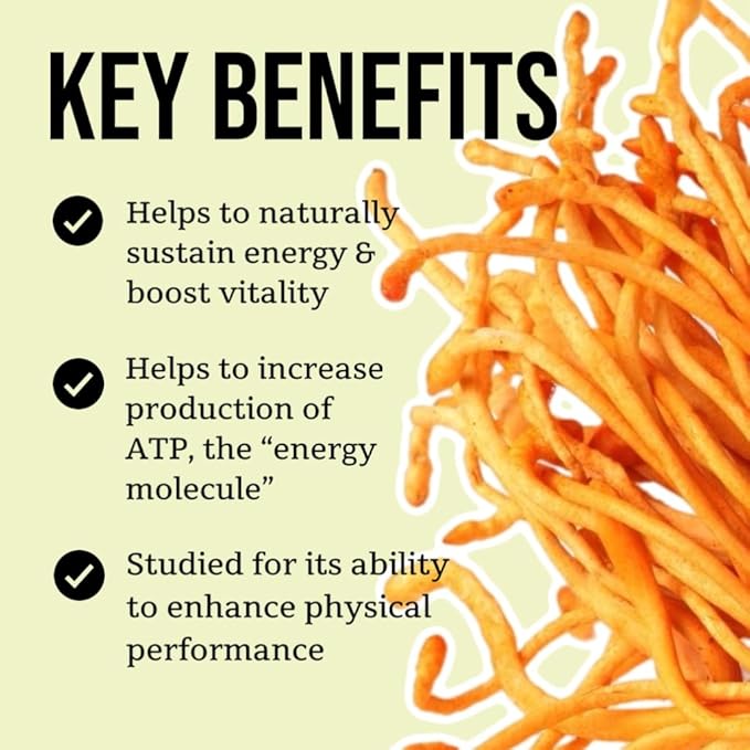 North Spore Organic Cordyceps Mushroom Tincture (4 oz) | 100% Fruiting Body Extracts | Energy, Endurance, and Stamina | Certified Organic, Vegan, Non-GMO | Adaptogenic, Nootropic | Made in USA