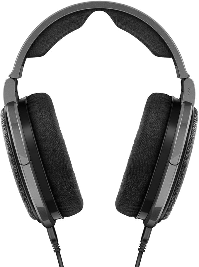 Sennheiser Consumer Audio HD 650 - Audiophile Hi-Res Open Back Dynamic Headphone, Titan