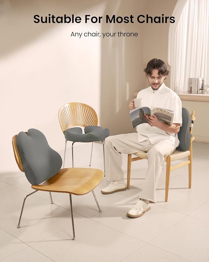 ProtoArc Lumbar Support Pillow for Office Chair, Memory Foam Back Support Pillow for Lower Back Fatigue Relief, Lumbar Cushion Desk Chair Back Cushion, Ergonomic Back Rest for Chair, Car - Gray