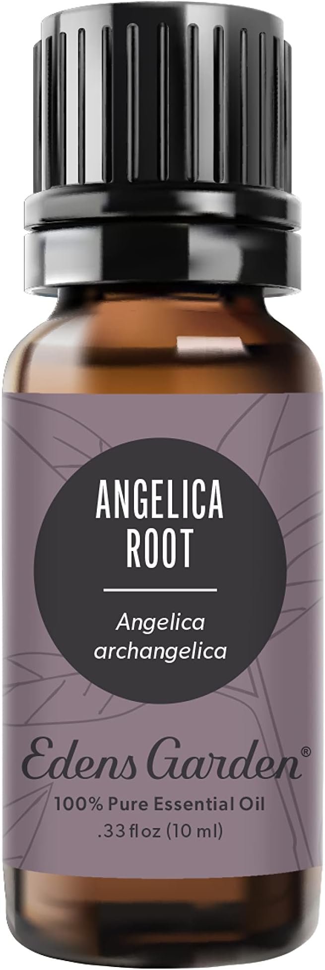 Edens Garden Angelica Root Essential Oil- 100% Pure Premium Grade, Undiluted, Natural, Therapeutic, Aromatherapy, The Best for Diffuser, Candle, Laundry, Kid Safe 10 ml (.33 fl oz)