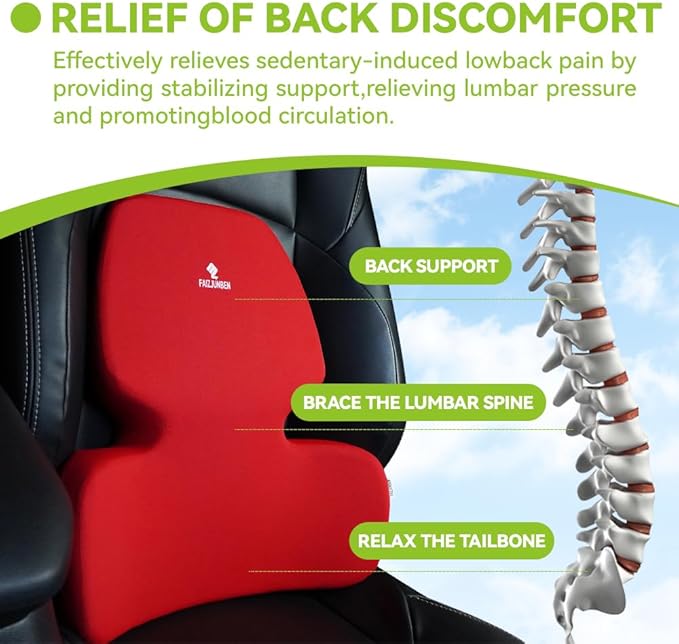 Lumbar Support Pillow, Memory Foam Cushion, Improve Posture and Relieve Low Back Pain, Lumbar Support for car Seats, Gaming Chairs, Office Chairs, wheelchairs