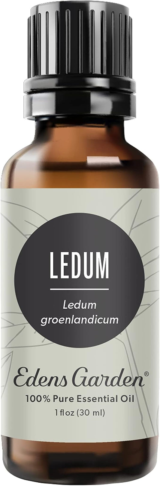 Edens Garden Ledum Essential Oil- 100% Pure Premium Grade, Undiluted, Natural, Therapeutic, Aromatherapy, The Best for Diffuser, Skin, Hair, Humidifiers 30 ml (1 fl oz)