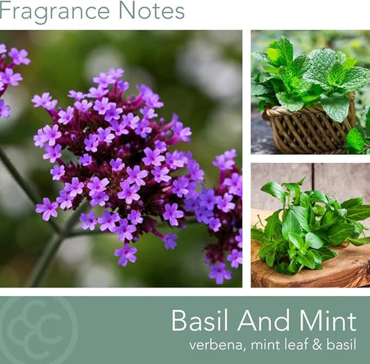 CAROLINA Basil & Mint Scented Candle, 16 oz Wellness Relaxing Aromatherapy Candle, 2 Wick White Jar Soy Blend Wax, Candles for Home, 60H Burn - Made in The USA