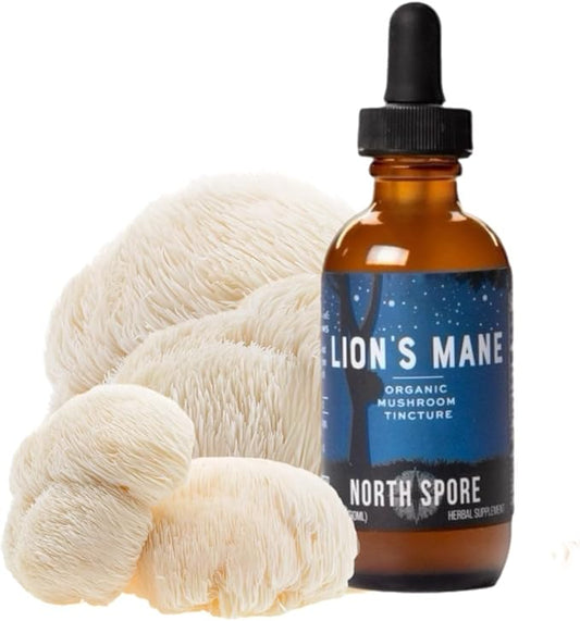 North Spore Organic Lion's Mane Mushroom Tincture (2 oz) | 100% Fruiting Body Extracts | for Focus, Memory, Brain Support | Certified Organic, Vegan, Non-GMO | Adaptogenic, Nootropic | Made in USA