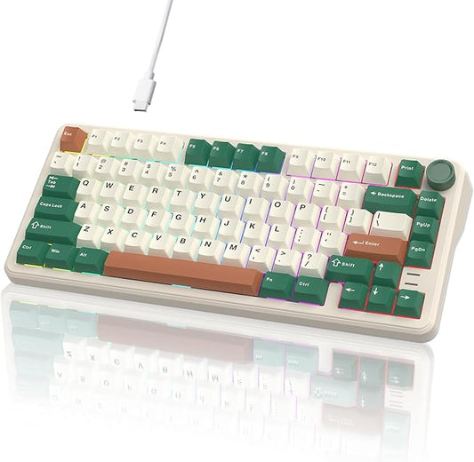 75% Retro Green Wired Hot Swappable Mechanical Keyboard with Metal Knob | Mount Gasket | Programmable RGB Backlit & Adjustable Side Light (KTT Brown Switch)