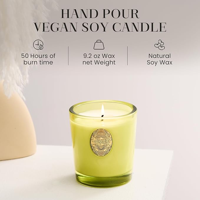 M&SENSE Natural Soy Candle | Seattle Rainforest & Matcha Green | 9.2 oz, 50H Burn Time | Luxury Scented Candle for Relaxation, Gifting, Home Décor | Ideal for Bedroom, Office, Party Ambiance