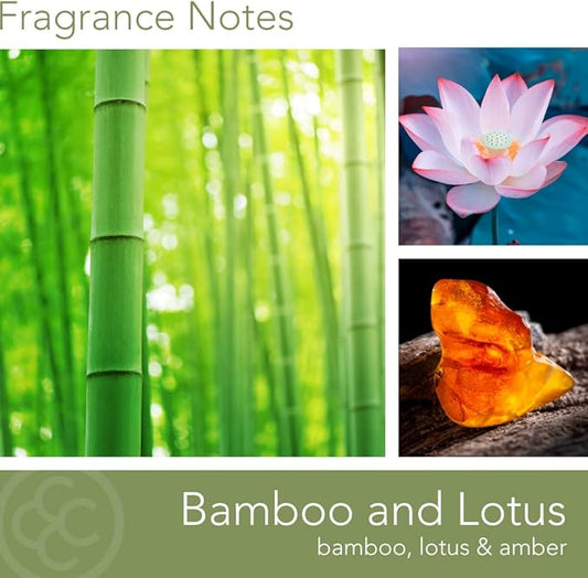 Carolina Bamboo Lotus Scented Candle, 16 oz Wellness Relaxing Aromatherapy Candle, 2 Wick White Jar Soy Blend Wax, Candles for Home, 60H Burn - Made in The USA