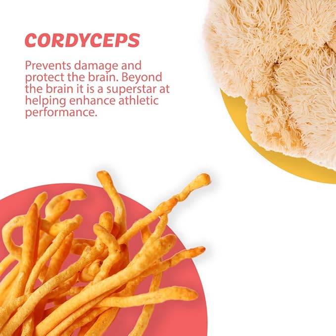 Roots Focus Nootropic Brain Supplement, Strawberry Watermelon, Blend of Lion's Mane, Cordyceps, and Reishi Functional Mushrooms with Extended-Release Caffeine, 15 Servings